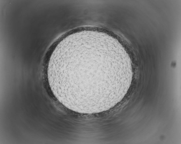 X0000116291208201001111049