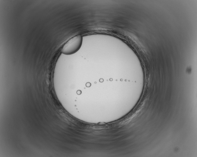 X0000116291209201001111049