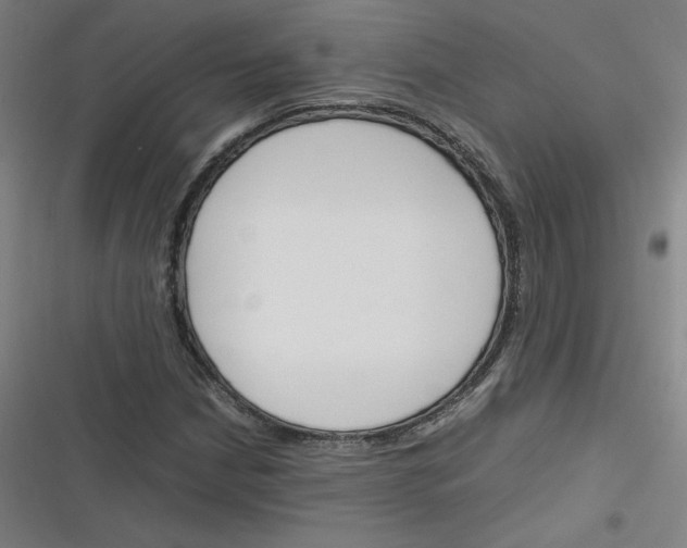 X0000116291210201001111049