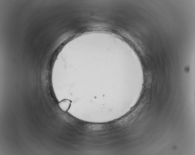 X0000116291211201001111049