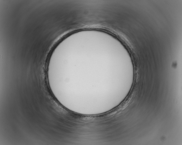 X0000116291212201001111049