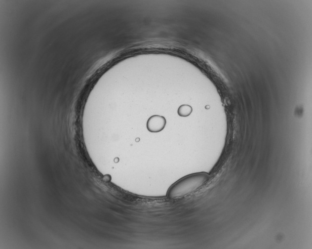 X0000116291213201001111049