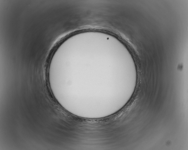 X0000116291214201001111049