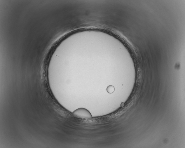 X0000116291215201001111049