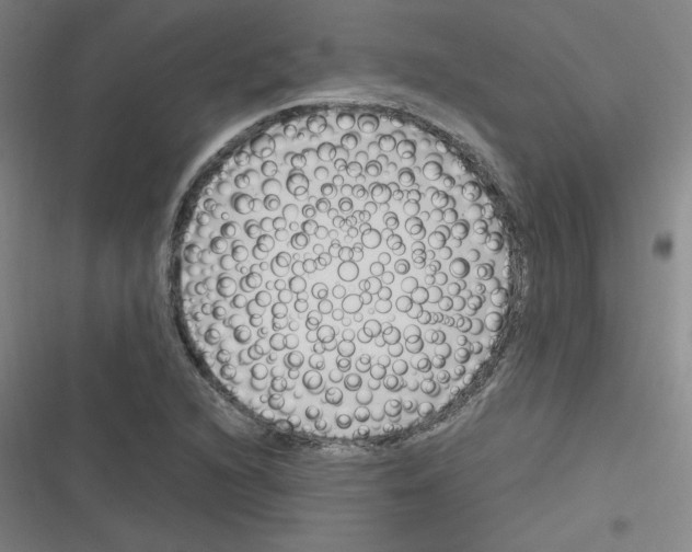 X0000116291216201001111049