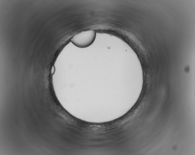 X0000116291217201001111049