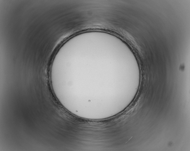 X0000116291218201001111049