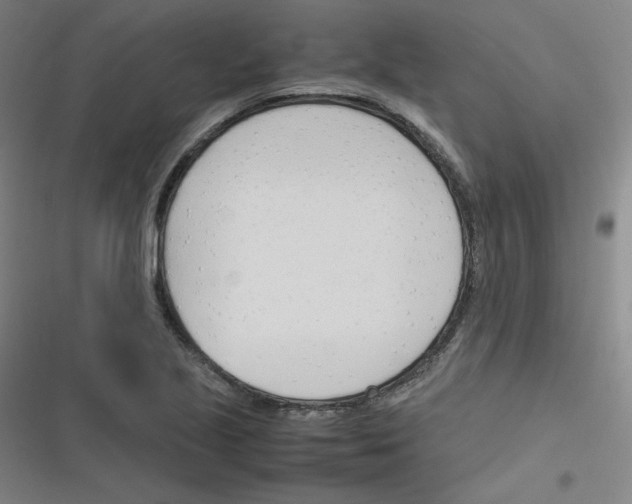 X0000116291221201001111049