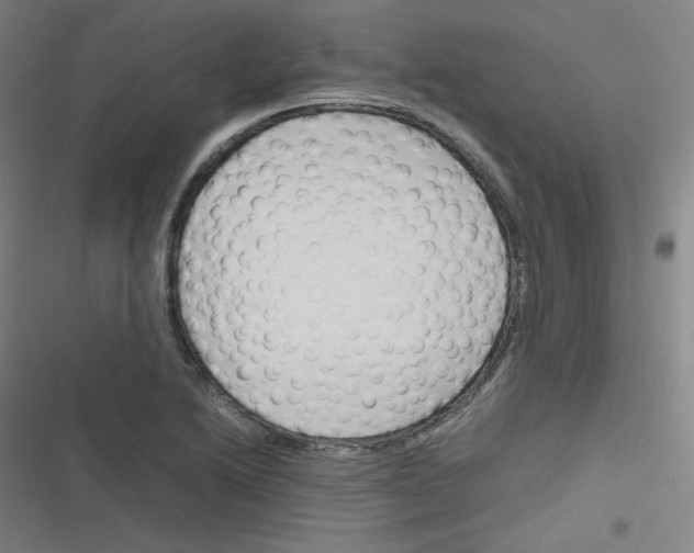 X0000116291222201001111049