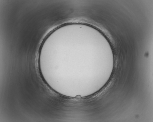 X0000116291224201001111049