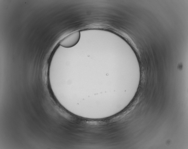 X0000116291227201001111049