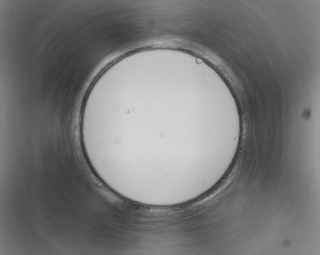 X0000116291232201001111050