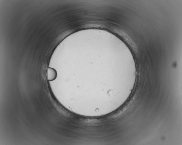 X0000116291233201001111050