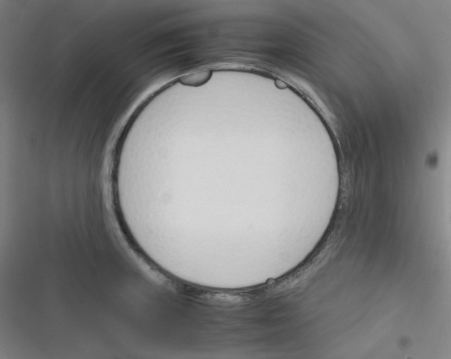 X0000116291235201001111050