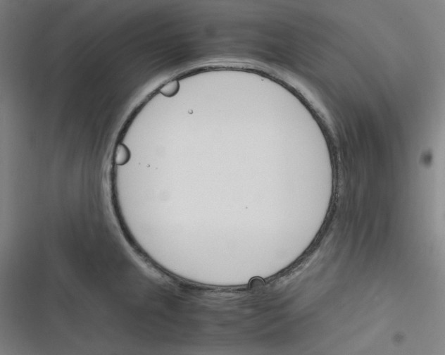 X0000116291237201001111050