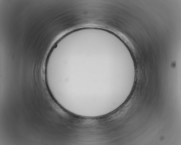 X0000116291238201001111050