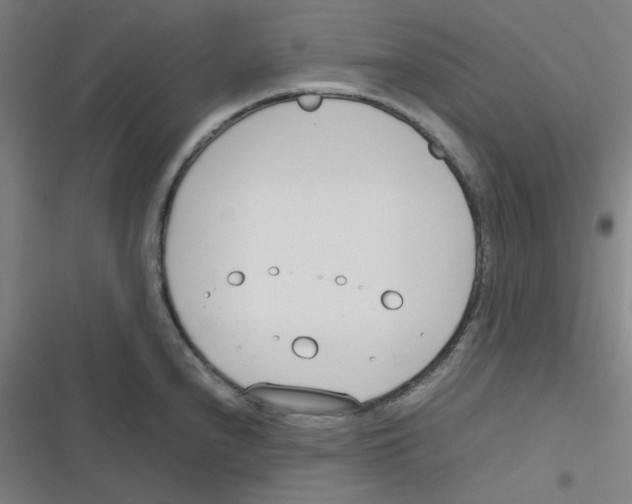 X0000116291240201001111050