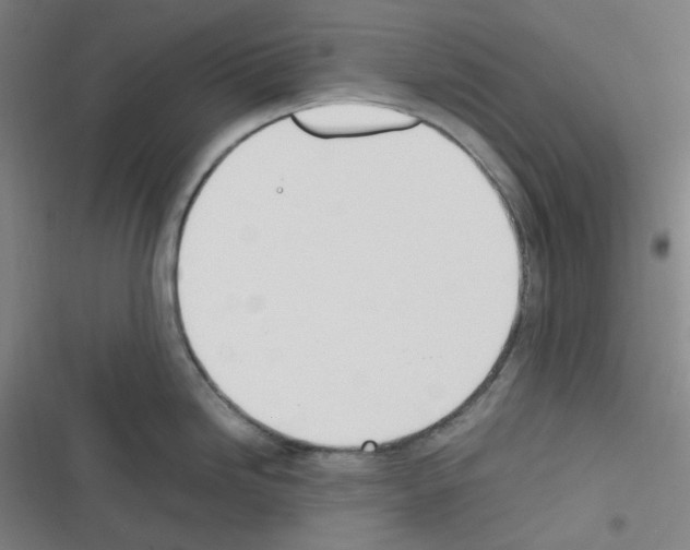 X0000116291246201001111050