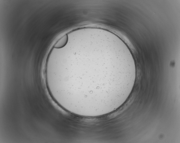 X0000116291247201001111050