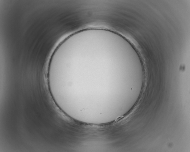 X0000116291248201001111050