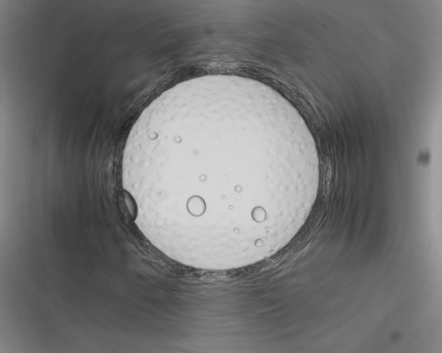 X0000116291250201001111049