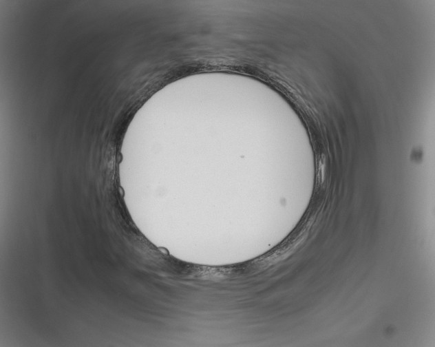 X0000116291251201001111049