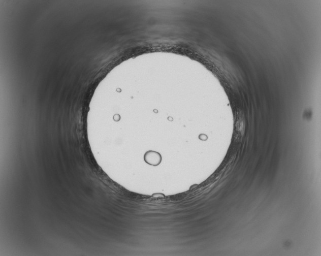 X0000116291252201001111049