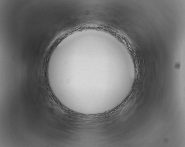 X0000116291256201001111049