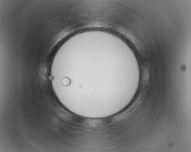 X0000116291258201001111049