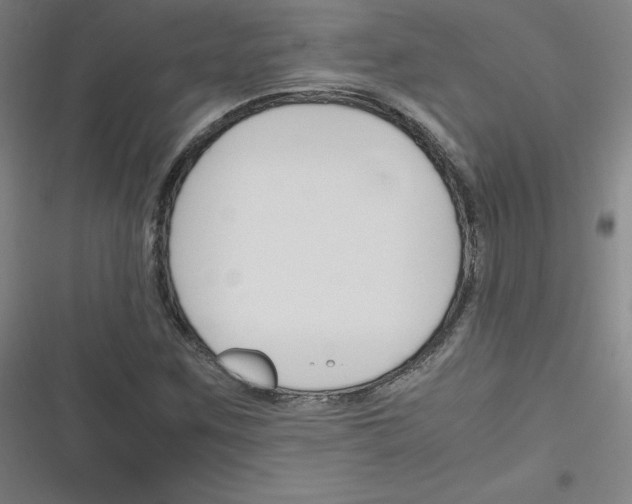 X0000116291259201001111049