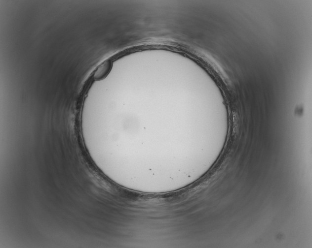 X0000116291260201001111049