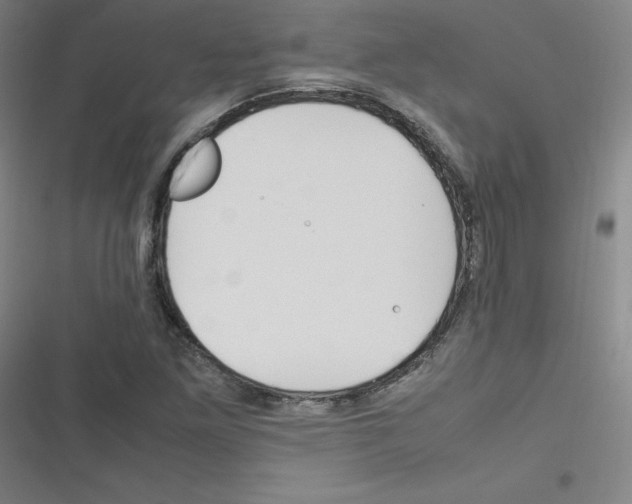 X0000116291261201001111049