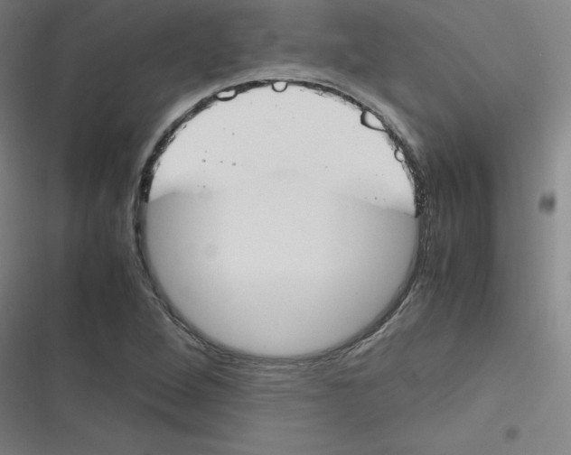 X0000116291264201001111049