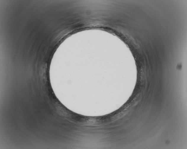 X0000116291265201001111049