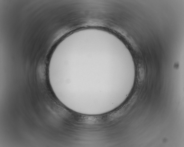 X0000116291266201001111049