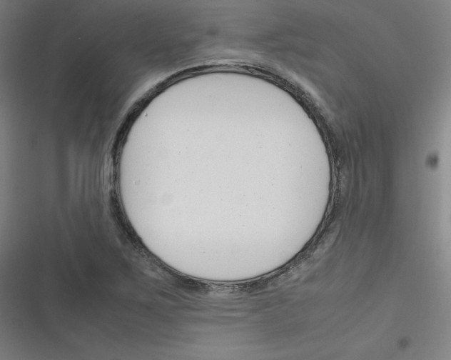 X0000116291267201001111049