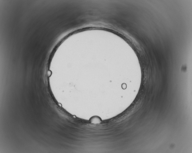 X0000116291272201001111049