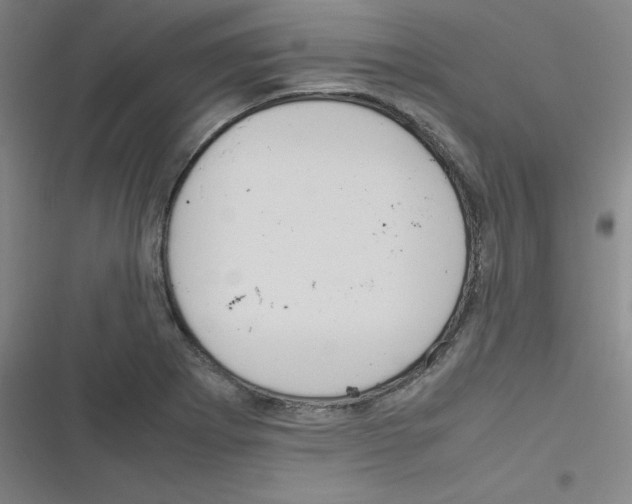 X0000116291273201001111049