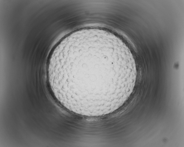 X0000116291274201001111049