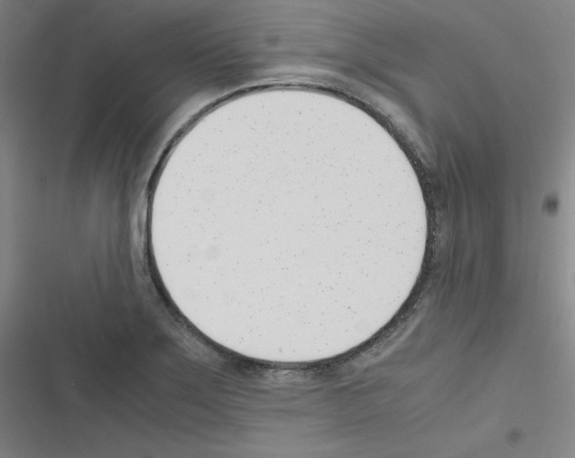 X0000116291275201001111049