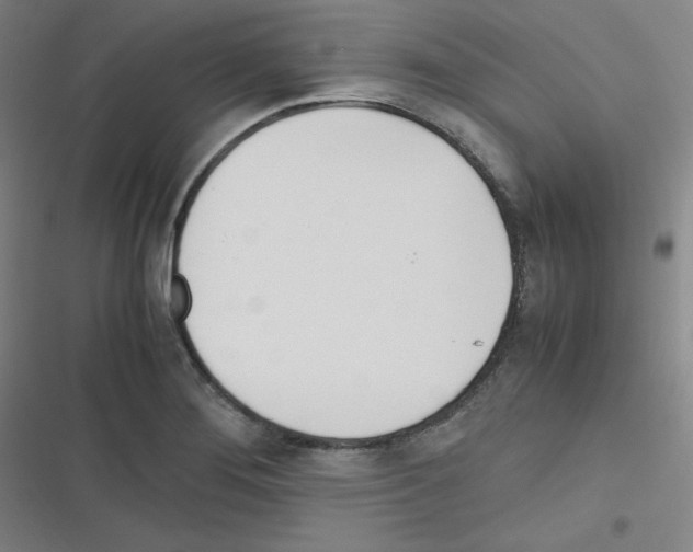 X0000116291276201001111049