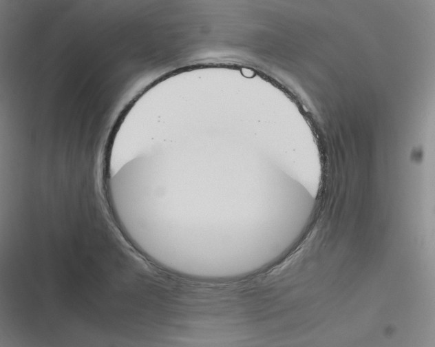 X0000116291277201001111049