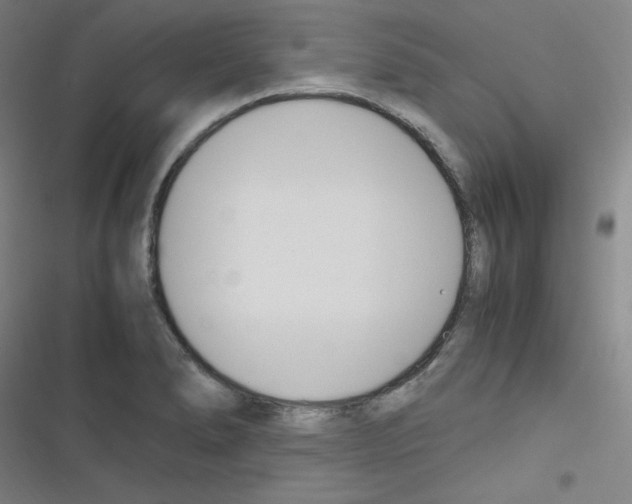 X0000116291278201001111049