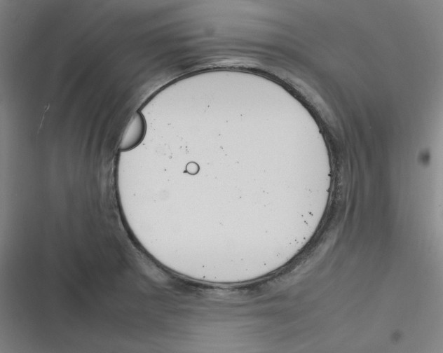 X0000116291281201001111049