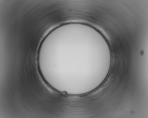 X0000116291282201001111049