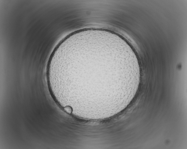 X0000116291283201001111049