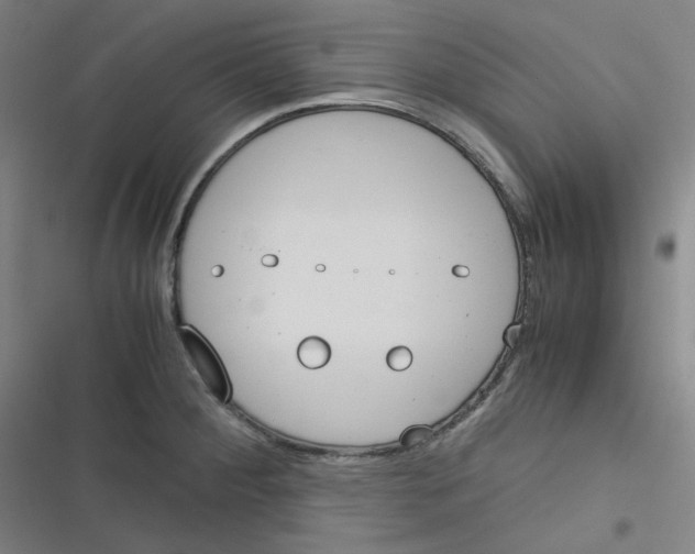 X0000116291284201001111049