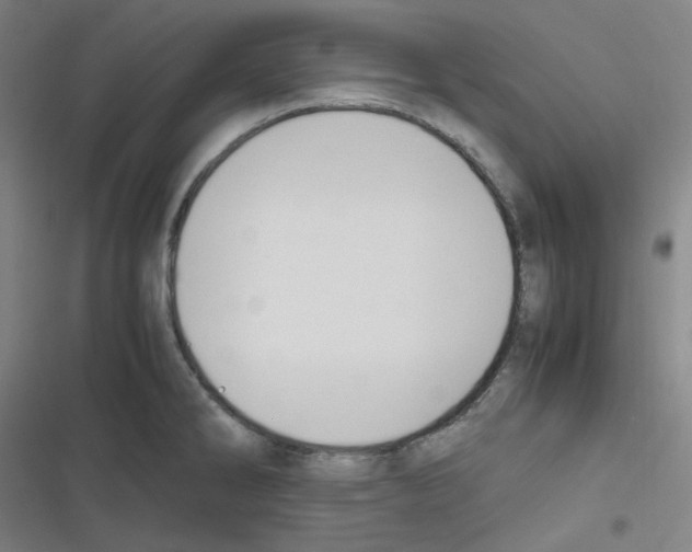 X0000116291286201001111049