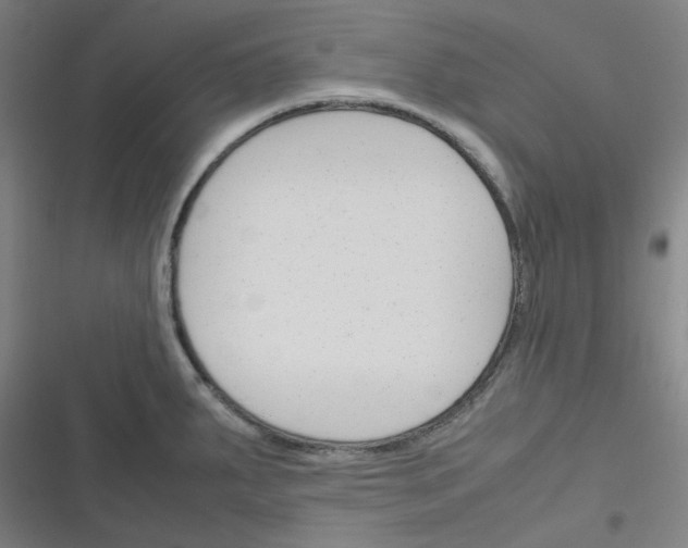 X0000116291287201001111049