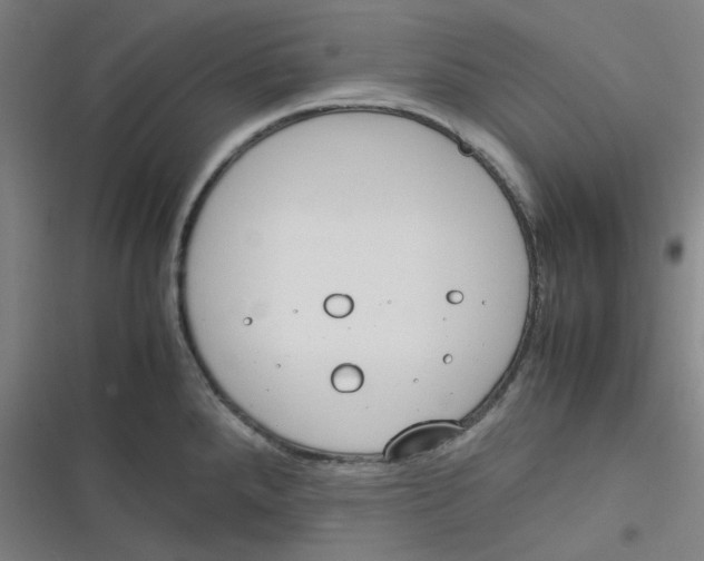 X0000116291288201001111049